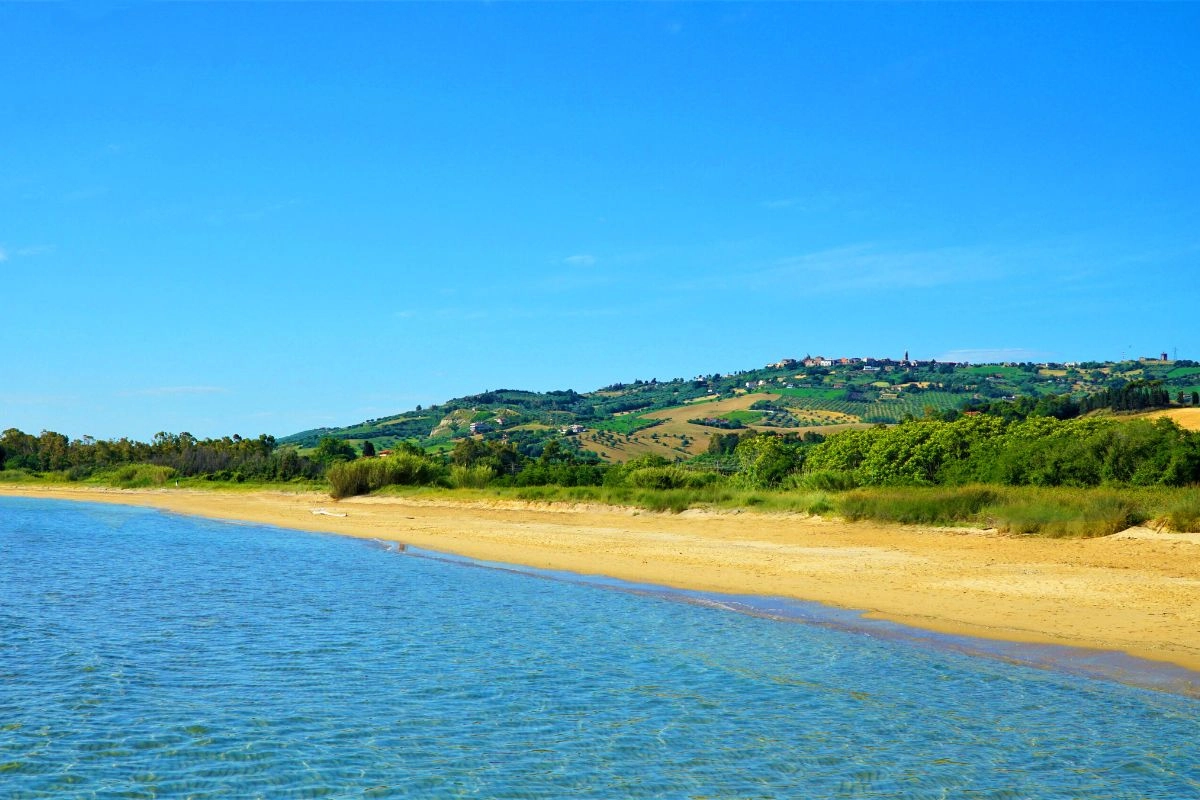 Pineta e dune costiere – Riserva del Borsacchio